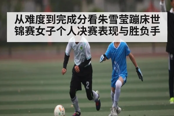 从难度到完成分看朱雪莹蹦床世锦赛女子个人决赛表现与胜负手（aoke）